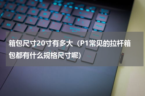 箱包尺寸20寸有多大（P1常见的拉杆箱包都有什么规格尺寸呢）