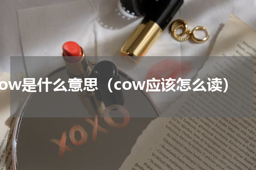 cow是什么意思（cow应该怎么读）