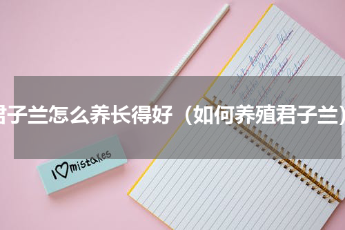 君子兰怎么养长得好（如何养殖君子兰）