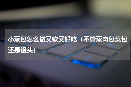 小蒸包怎么做又软又好吃（不管蒸肉包菜包还是馒头）