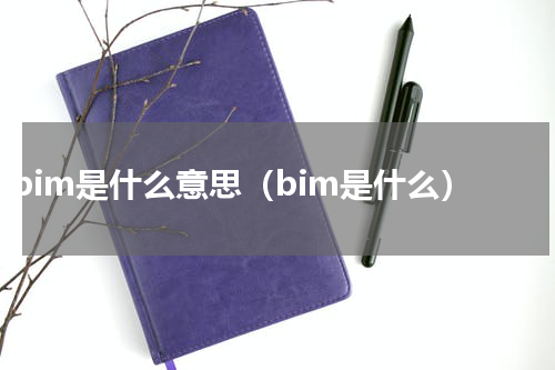 bim是什么意思（bim是什么）