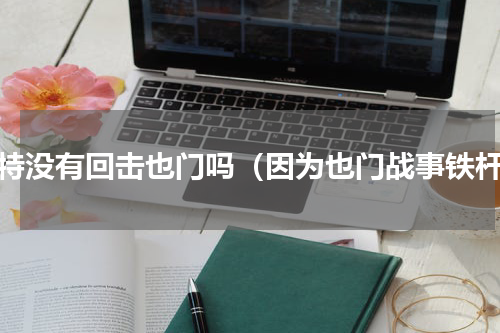 沙特没有回击也门吗（因为也门战事铁杆）