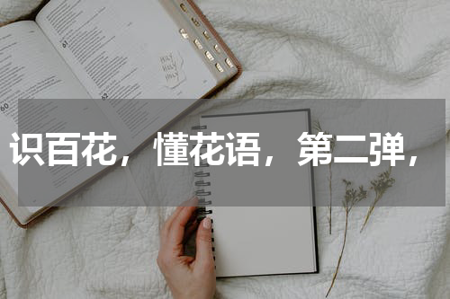 识百花，懂花语，第二弹，