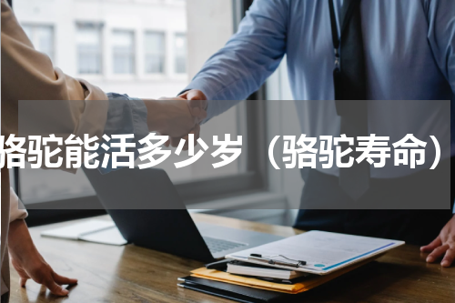 骆驼能活多少岁（骆驼寿命）