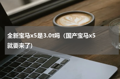 全新宝马x5是3.0t吗（国产宝马x5就要来了）