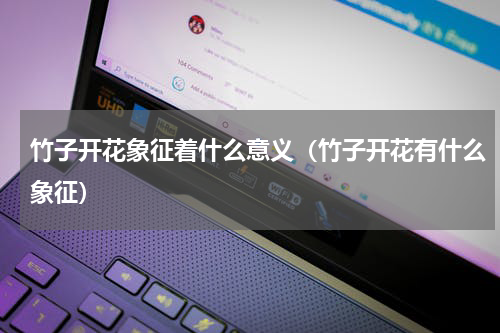 竹子开花象征着什么意义（竹子开花有什么象征）