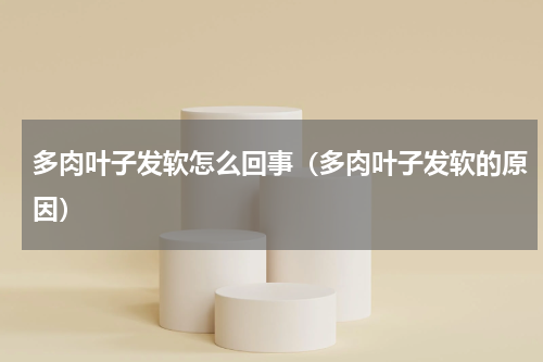 多肉叶子发软怎么回事（多肉叶子发软的原因）