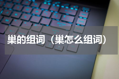 巢的组词（巢怎么组词）