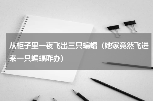 从柜子里一夜飞出三只蝙蝠（她家竟然飞进来一只蝙蝠咋办）