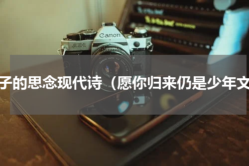 游子的思念现代诗（愿你归来仍是少年文）