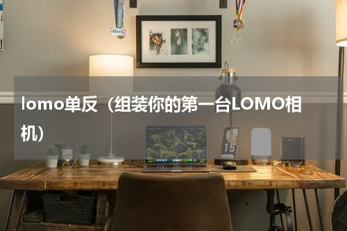 lomo单反（组装你的第一台LOMO相机）