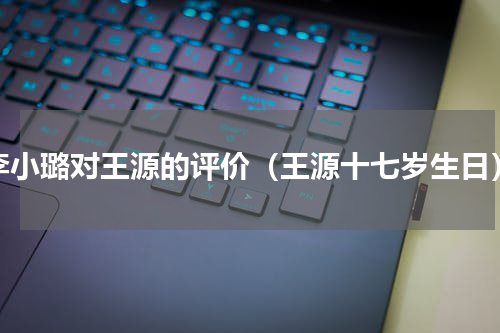 李小璐对王源的评价（王源十七岁生日）