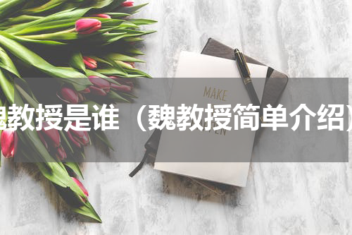 魏教授是谁（魏教授简单介绍）