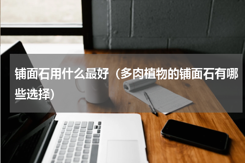 铺面石用什么最好（多肉植物的铺面石有哪些选择）