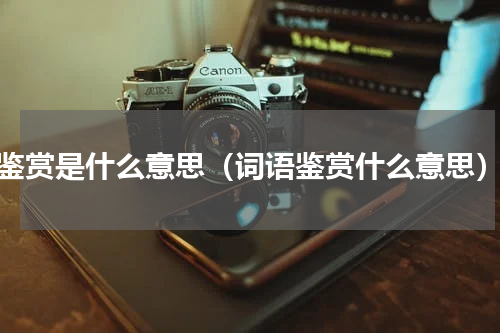 鉴赏是什么意思（词语鉴赏什么意思）