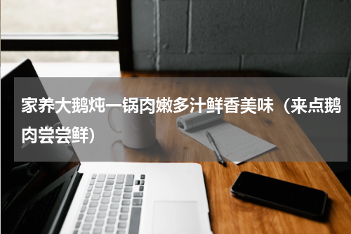 家养大鹅炖一锅肉嫩多汁鲜香美味（来点鹅肉尝尝鲜）