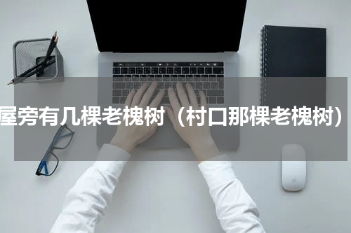 屋旁有几棵老槐树（村口那棵老槐树）