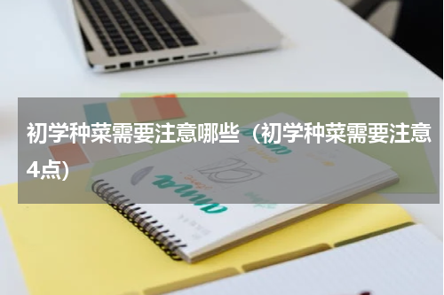 初学种菜需要注意哪些（初学种菜需要注意4点）