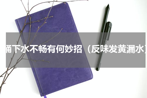 马桶下水不畅有何妙招（反味发黄漏水）