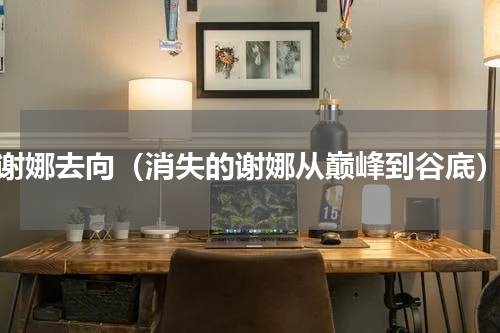 谢娜去向（消失的谢娜从巅峰到谷底）
