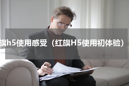 红旗h5使用感受（红旗H5使用初体验）