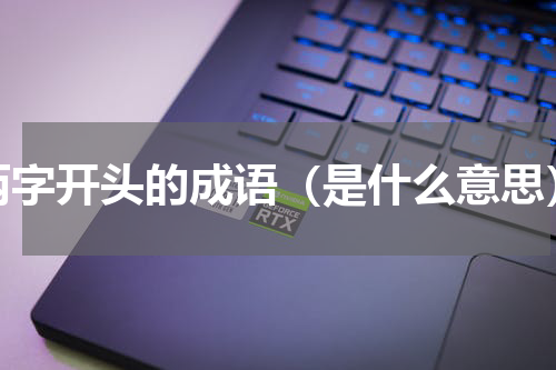 两字开头的成语（是什么意思）