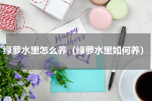 绿萝水里怎么养（绿萝水里如何养）