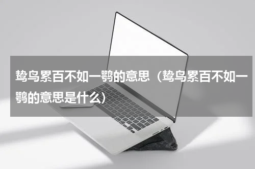 鸷鸟累百不如一鹗的意思（鸷鸟累百不如一鹗的意思是什么）