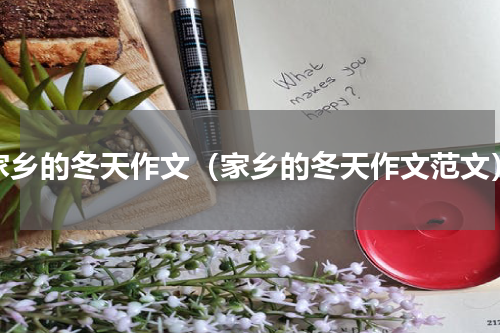 家乡的冬天作文（家乡的冬天作文范文）