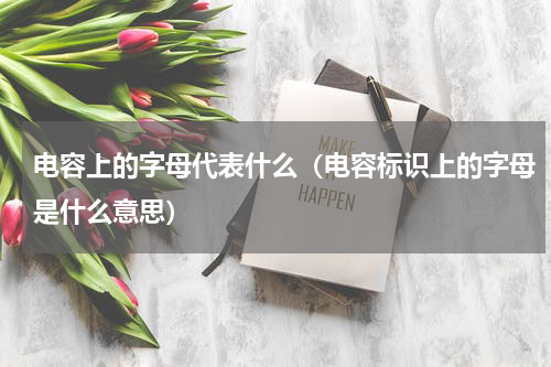 电容上的字母代表什么（电容标识上的字母是什么意思）