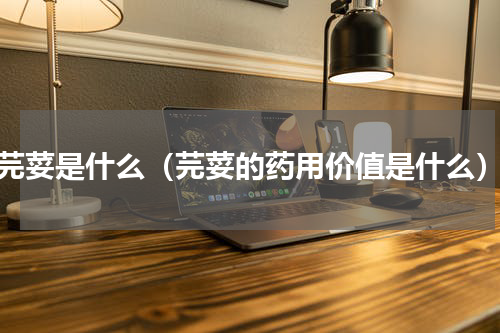 芫荽是什么（芫荽的药用价值是什么）