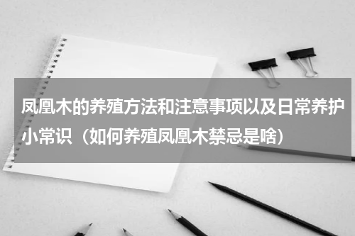 凤凰木的养殖方法和注意事项以及日常养护小常识（如何养殖凤凰木禁忌是啥）