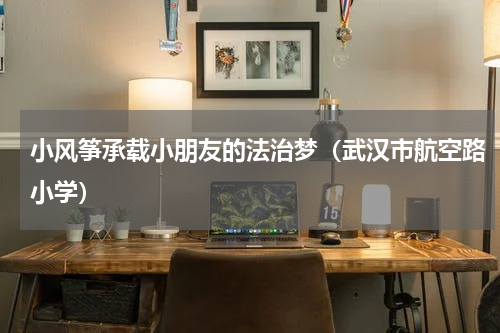 小风筝承载小朋友的法治梦（武汉市航空路小学）