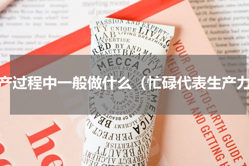 生产过程中一般做什么（忙碌代表生产力）