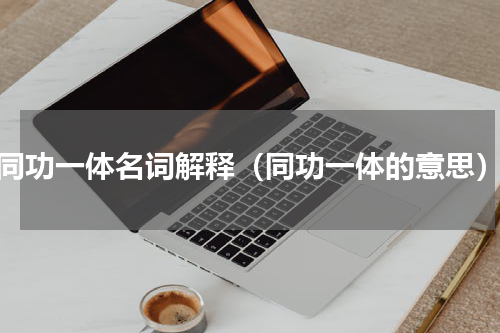 同功一体名词解释（同功一体的意思）