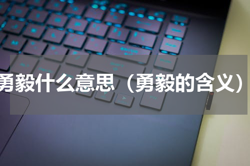 勇毅什么意思（勇毅的含义）
