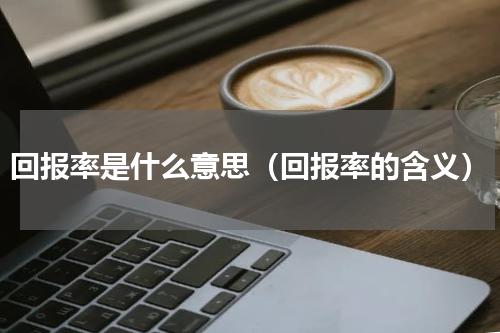 回报率是什么意思（回报率的含义）