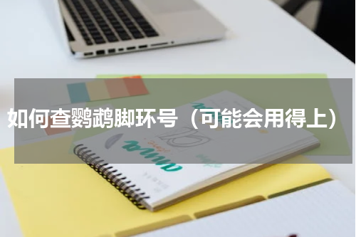 如何查鹦鹉脚环号（可能会用得上）