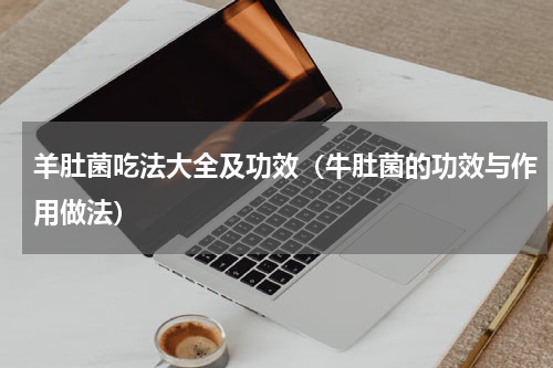 羊肚菌吃法大全及功效（牛肚菌的功效与作用做法）