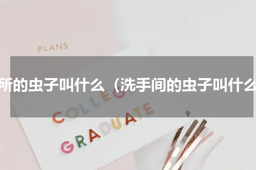 厕所的虫子叫什么（洗手间的虫子叫什么）