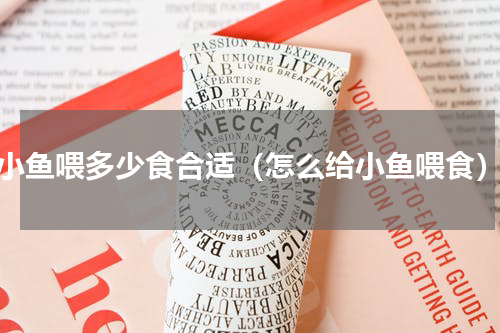 小鱼喂多少食合适（怎么给小鱼喂食）