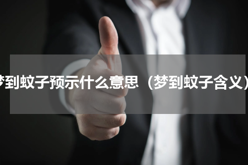 梦到蚊子预示什么意思（梦到蚊子含义）