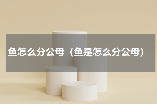 鱼怎么分公母（鱼是怎么分公母）