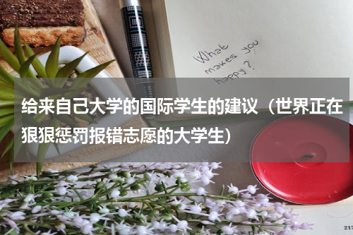 给来自己大学的国际学生的建议（世界正在狠狠惩罚报错志愿的大学生）