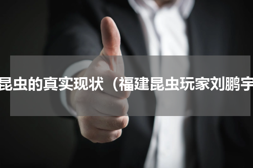 小昆虫的真实现状（福建昆虫玩家刘鹏宇）