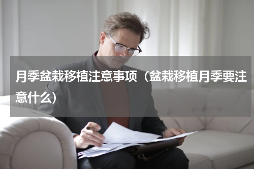 月季盆栽移植注意事项（盆栽移植月季要注意什么）