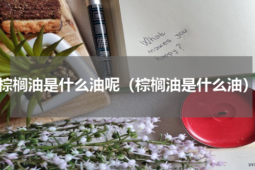 棕榈油是什么油呢（棕榈油是什么油）