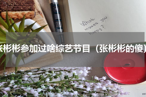 张彬彬参加过啥综艺节目（张彬彬的傻）