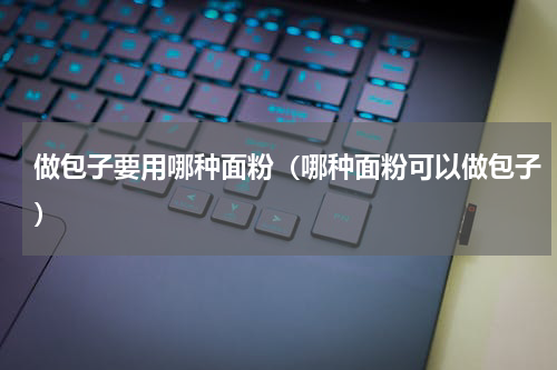 做包子要用哪种面粉（哪种面粉可以做包子）