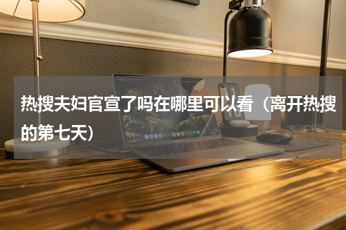 热搜夫妇官宣了吗在哪里可以看（离开热搜的第七天）